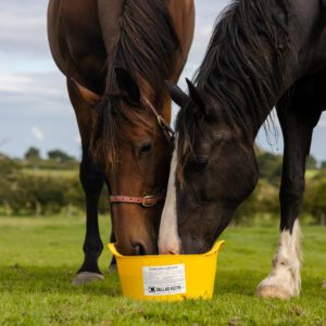 Equine Flexi Garlic - Dallas Keith Equine Flexi Range Mineral Lick from Pest Solutions.